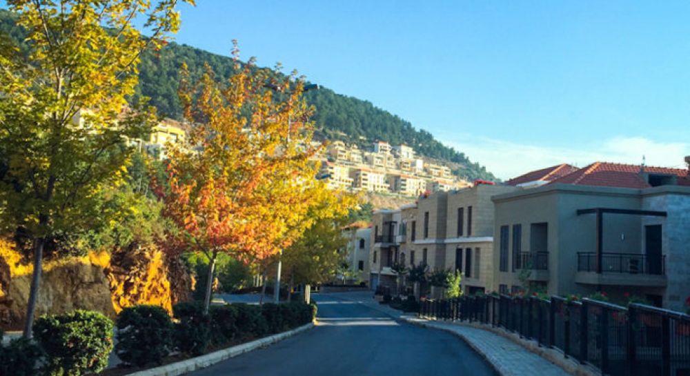 Cricket: A Gentleman's Game That Unites the World