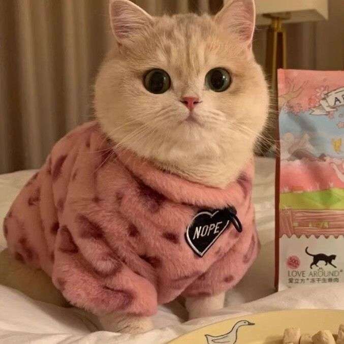 Leopard Print Cat Sweater ? Stretchy Fleece Turtleneck Sweatshirt